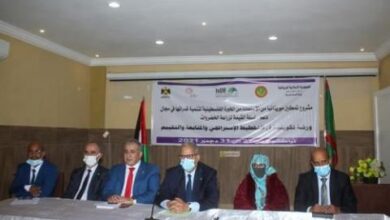 صورة قطاع الزراعة يتجه نحو تطوير إنتاج الخضروات