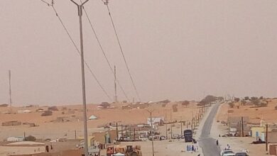 صورة واد الناقة: ضبط 167.5 كيلوغراما من الحشيش قادمة من سيلبابي
