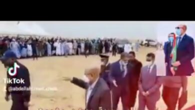 صورة المهندسة أم الخيري منت المصطفى … تكتب عن زيارة الرئيس غزواني لمدينة الشامي
