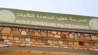 صورة أساتذة المدرسة العليا للتعليم متعدد التقنيات يضربون…