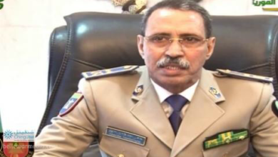صورة الامن يفتيش باخرة في الميناء للاشتباه فى حمولتها