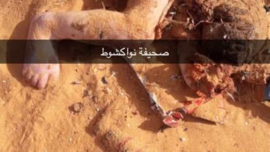 صورة الكلاب السائبة تقود الشرطة الى جريمة بشعة…