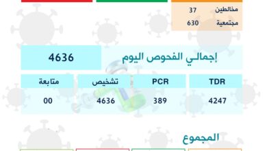 صورة عاجل : كورونا في موريتانيا و منحنى الإصابات في هبوط…
