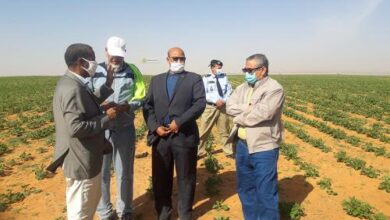 صورة وزير الزراعة: الحملة الزراعية الصيفية لزراعة الأرز انطلقت في ظروف مرضية