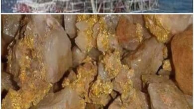 صورة اكتشاف معدن ثمين شمال موريتانيا