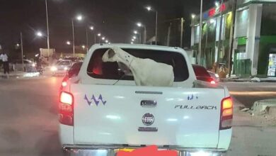 صورة صوملك تعاقب أحد مسؤوليها بسبب حمل شاة في سيارة للشركة .. صورة