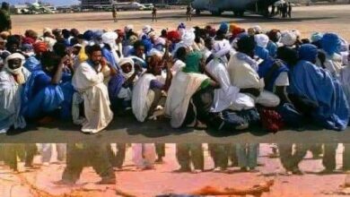 صورة شعلة من نار الدهماء -الجزء 3/4