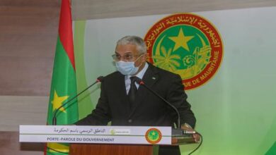 صورة الناطق باسم الحكومة بعض المنقبين قد أو قعوا الدولة في حرج دبلوماسي