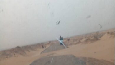 صورة شح المياه وزحف الرمال يهددان واحات النخيل في موريتانيا