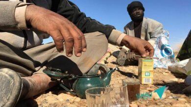 صورة بعثة فنية تدرس 20 موقعا جديدا للتنقيب عن الذهب