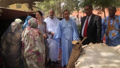 صورة اقامة معرض في فضاء بلدية تفرغ زينه بمناسبة عيد المرأة