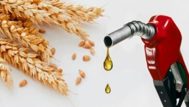 صورة ارتفاع أسعار القمح والوقود .. التفاصيل