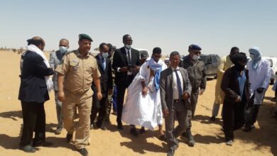 صورة انطلاقة عملية بيع وتوزيع العلف في ولاية ادرار … التفاصيل