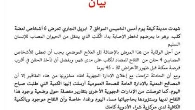 صورة وزارة الصحة تعلن نقل 6 مصابين بعضة كلب (بيان)