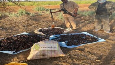 صورة شرطة البيئة تضبط أسلحة ولحم خنزير قرب (جدر المحكن)