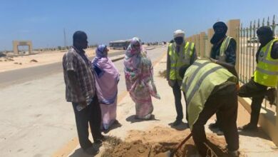 صورة جهة نواكشوط تطلق عملية تشجير … صور