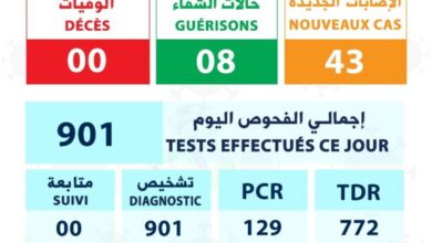 صورة وزارة الصحة: ارتفاع في حالات الإصابة بكورونا