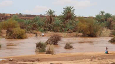 صورة السيول تعزل مدينة ودان وتوقف تنقل السكان منها أو إليها