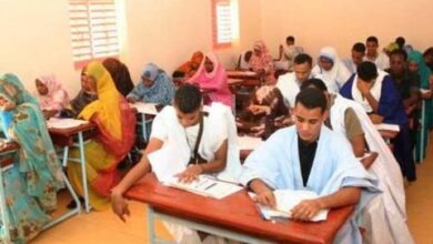 صورة نسب النجاح في الباكلوريا لهذ العام … ارقام