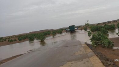 صورة مقاييس الأمطار خلال الـ24 ساعة الماضية