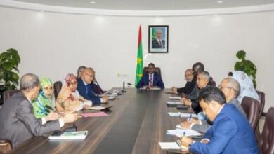صورة الوزير الأول يترأس اجتماعا للتحضير للانتخابات المقبلة