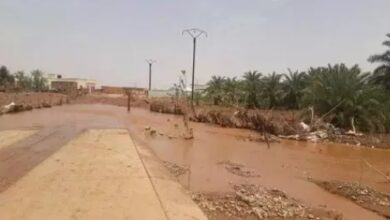 صورة تساقط أمطار معتبرة خلال 24 ساعة الماضية (مقاييس)