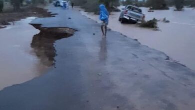 صورة أمطار قوية ومتوسطة في عدد من الولايات (مقاييس)