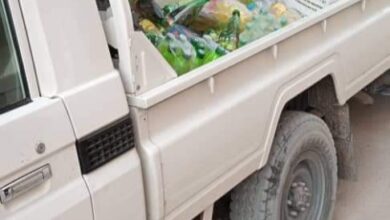 صورة وزارة التجارة تعلن إغلاق مؤسسة لبيع لحوم الخنزير يديرها أجانب