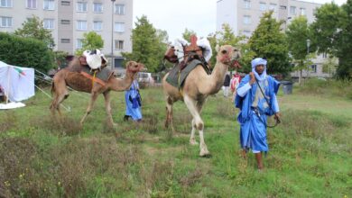 صورة المكتب الوطني للسياحة ينظم يوما تعريفيا بموريتانيا في العاصمة الفرنسية باريس