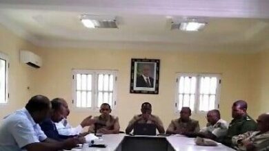 صورة إقرار خطة صحية لمواجهة حمى الوادي المتصدع في ولاية آدرار