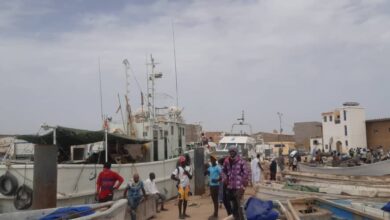 صورة ميناء خليج الراحة يباشر ترحيل الزوارق إلى “البونتيه”