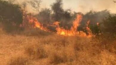 صورة حريق في المراعي شمال غرب مدينة ألاك