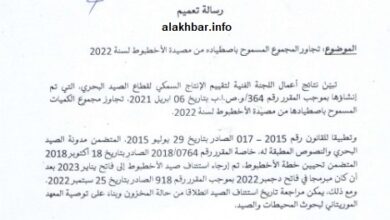 صورة وزارة الصيد تؤجل استئناف صيد الإخطبوط إلى 2023