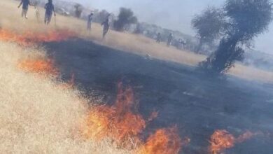 صورة الأرصاد تتوقع ظروفا ملائمة لاندلاع حرائق في بعض المراعي