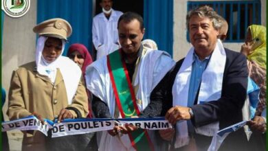 صورة نقاط جديدة لبيع الدجاج في دار النعيم والرياض