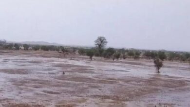 صورة أمطار شتوية خفيفة إلى متوسطة في عدة مناطق موريتانية ـ تفاصيل