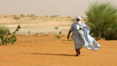 صورة توقعات الأرصاد لحالة الطقس خلال الـ48 ساعة القادمة
