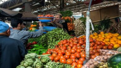 صورة المغرب يحظر تصدير الطماطم والبصل والبطاطس إلى غرب افريقيا