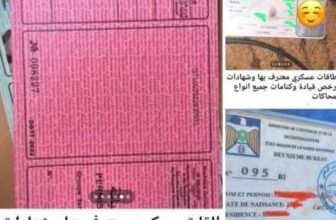 صورة القضاء يستجوب عصابة تمتهن تزوير الوثائق الرسمية ويحيلها إلى التحقيق