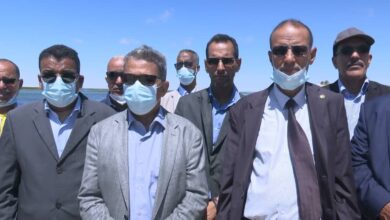 صورة بعد ضجة نفوق الأسماك…السلطات تزور الشواطئ والوزارة تطمئن
