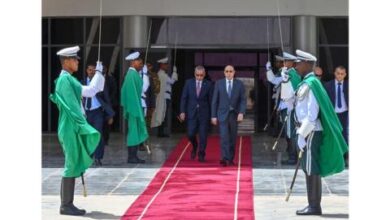 صورة رئيس الجمهورية يتوجه إلى نيجيريا (الوفد المرافق )