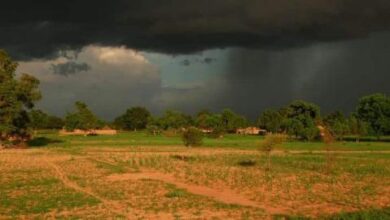 صورة أمطار خفيفة على عدة ولايات من أرجاء الوطن (مقاييس )