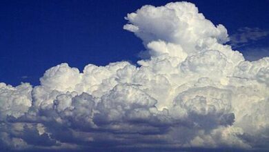 صورة تساقطات مطرية بأربع ولايات تجاوز بعضها 100 ملم