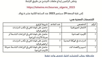 صورة وزارة التشغيل تعلن عن منح للتكوين المتوسط ​​في الجزائر