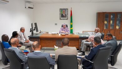 صورة وزيرة الصحة تأمر بضبط وتنظيم كافة الجوانب المتعلقة بمدارس الصحة