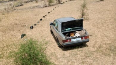 صورة صنغرافه : حادث سير  يودي بحياة طفلة في السابعة من عمرها (صورة)
