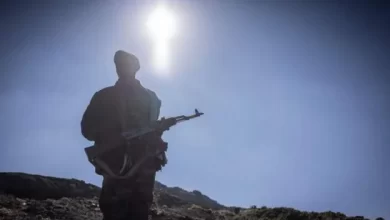 صورة محادثات إثيوبيا مع جماعة OLA المتمردة تنتهي دون اتفاق