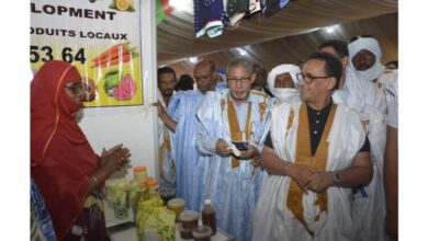 صورة تفاصيل فعاليات مهرجان مدائن التراث بولاتة في يومه الثالث