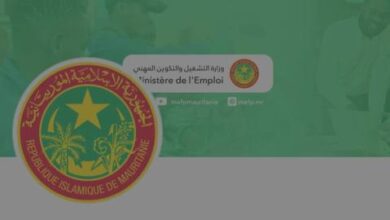 صورة هل يقوض تعاظم تشغيل الأجانب بدون رخصة الجهود الحكومية في مجال التشغيل؟