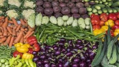 صورة منتدى المستهلك يُندد برفع الجمركة على الخضروات المستوردة